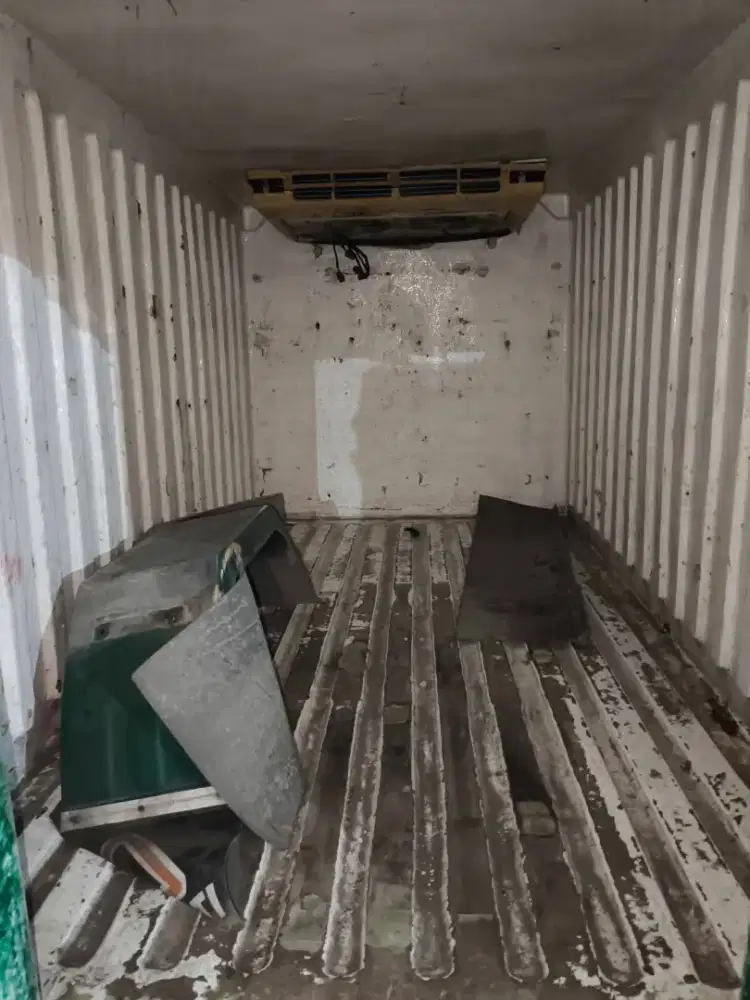 Box engkel freezer