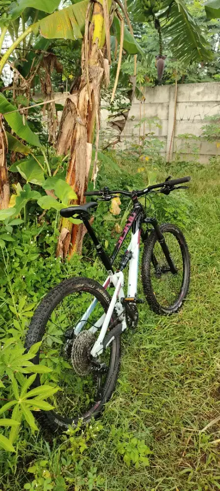 JUAL CEPAT SISKIU D7 2021