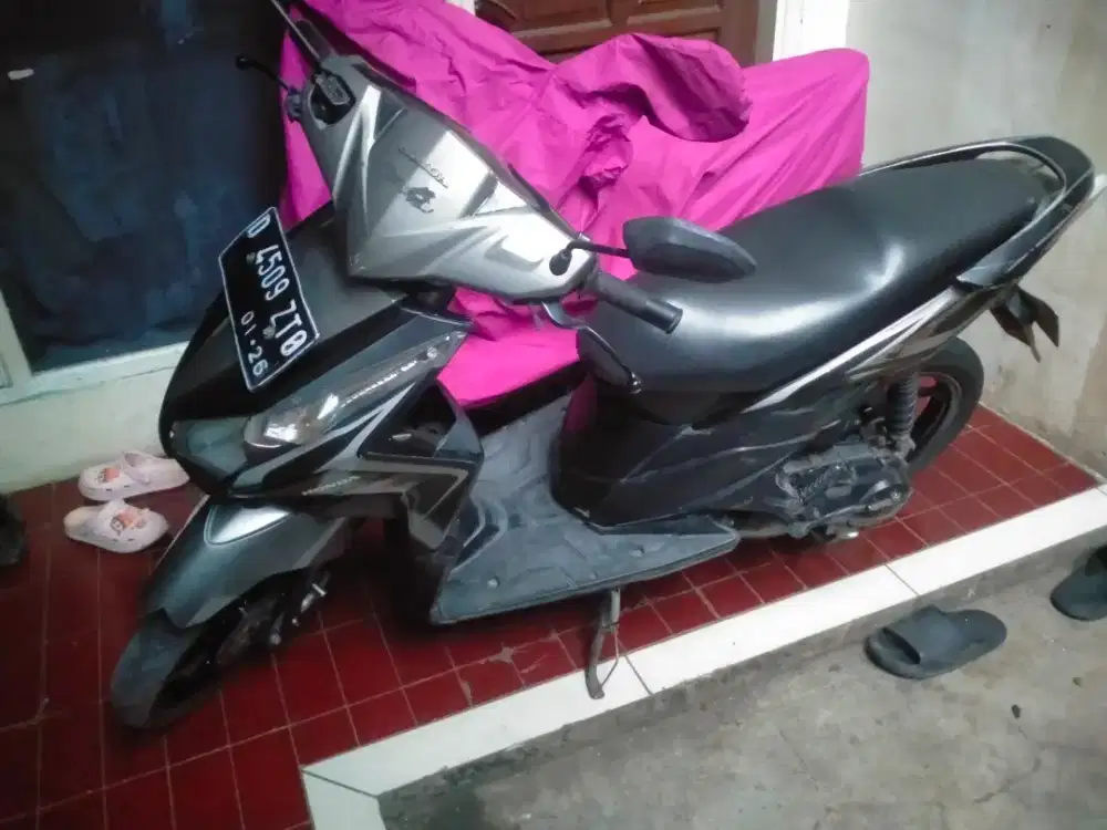 Mangga vario karbu