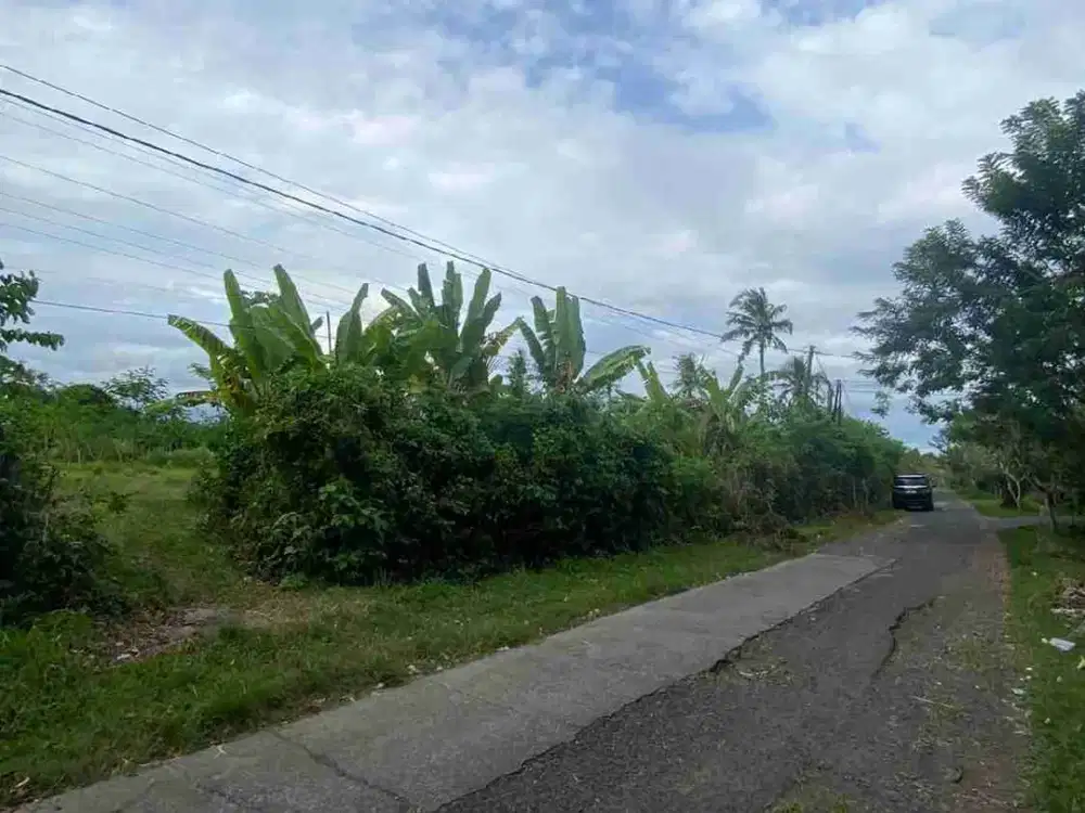 TANAH PINGGIR JALAN 7300M2 DI DESA BALUK JEMBRANA BALI