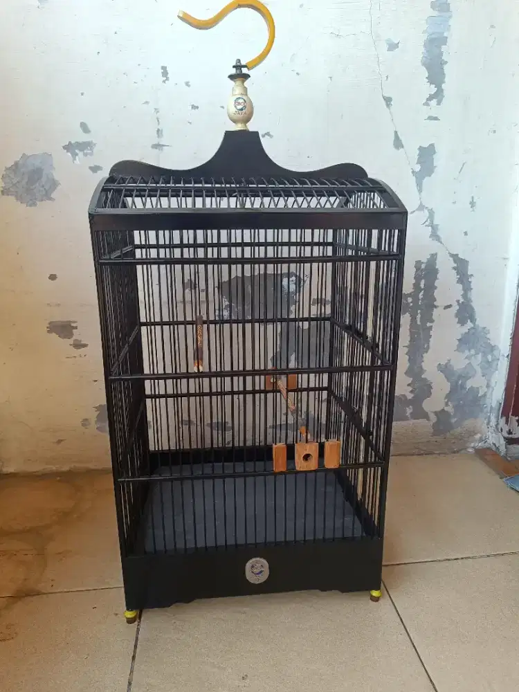 Kandang kotak nomor 3