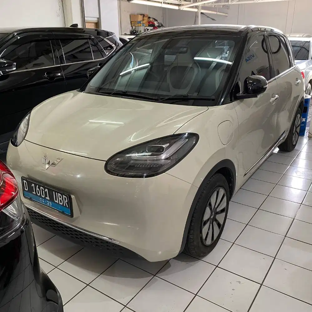 BINGOU EV PREMIUM RANGE KM 11RB
