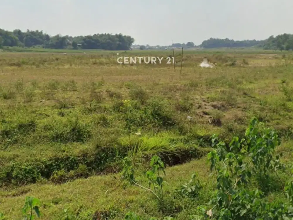 Lahan Luas Lokasi Strategis Di Serang Baru Bekasi Siap Dibangun