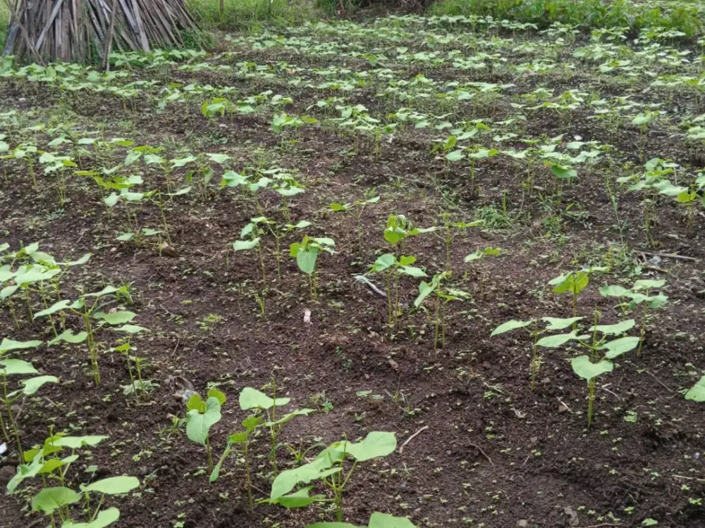 Tanah 140m2 sayap sersan bajuri setiabudi bandung