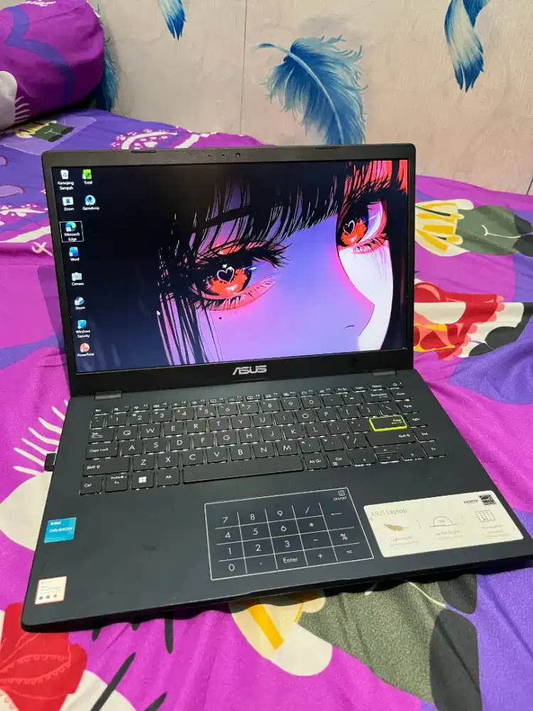 Asus Vivobook go 14 E410KA