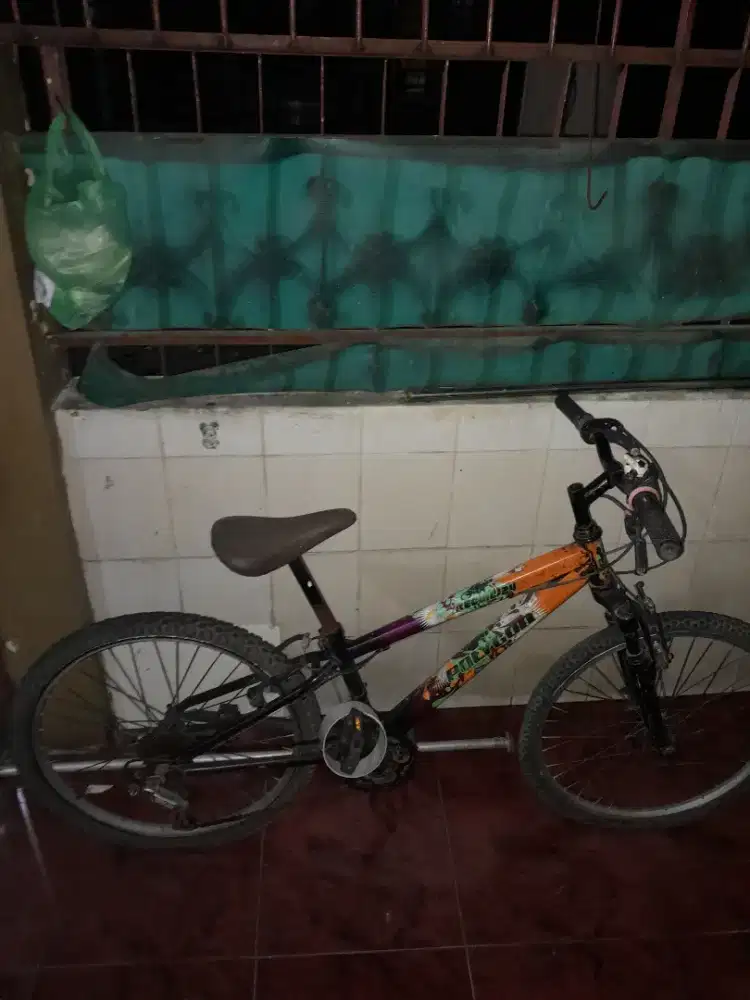 sepeda remaja murah