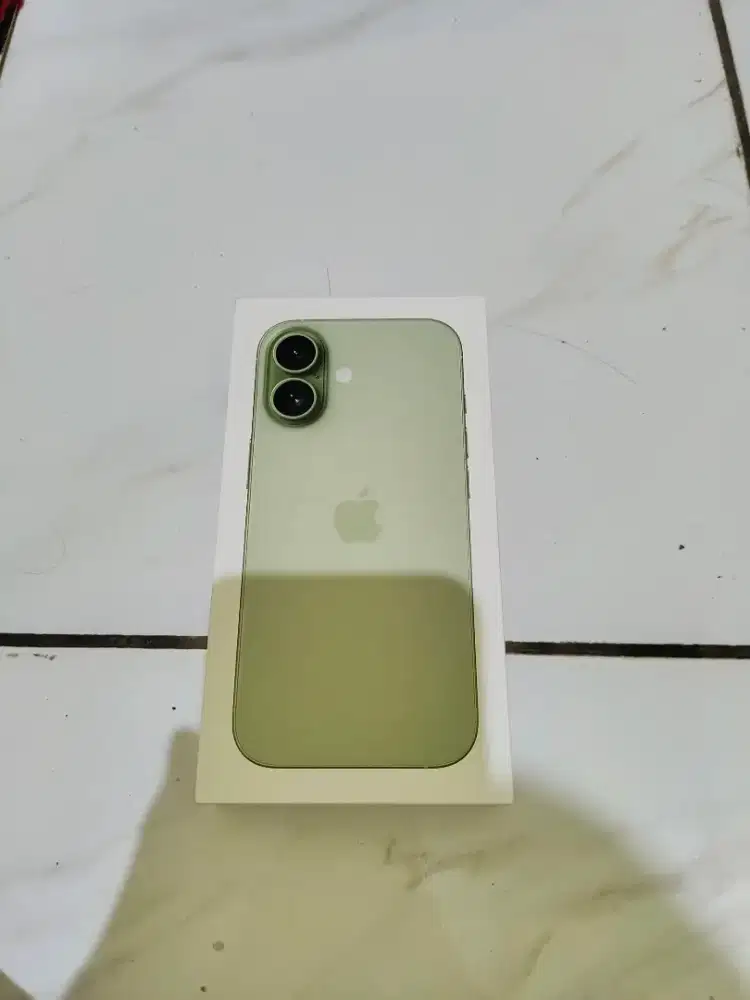 IP 17 256 Sage iBox