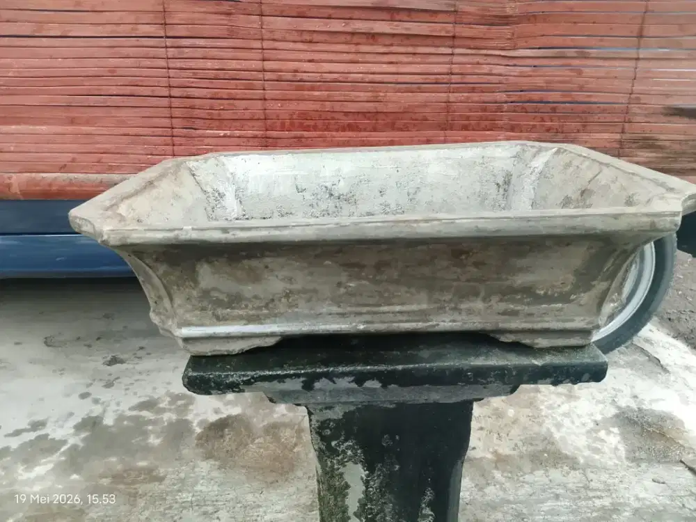Pot bonsai bagus
