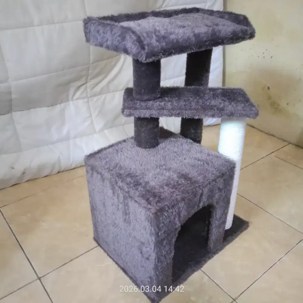 Rumah kucing baru