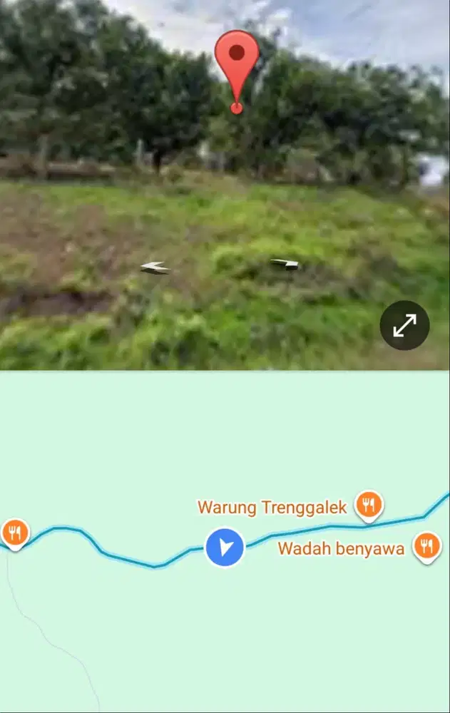 DIJUAL MURAH TANAH KEBUN BUAH SUPER LUAS DI LINTAS KALIMANTAN TENGAH!