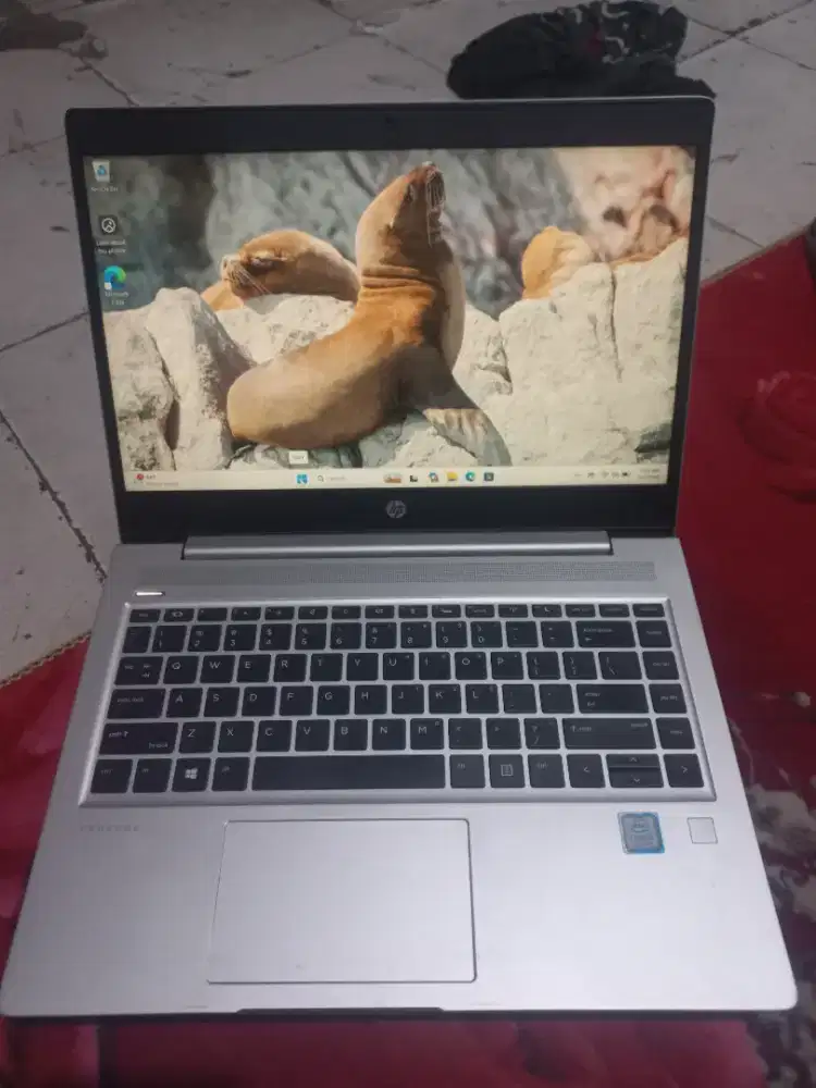 Jual butuh, laptop Hp Probook 440 G6