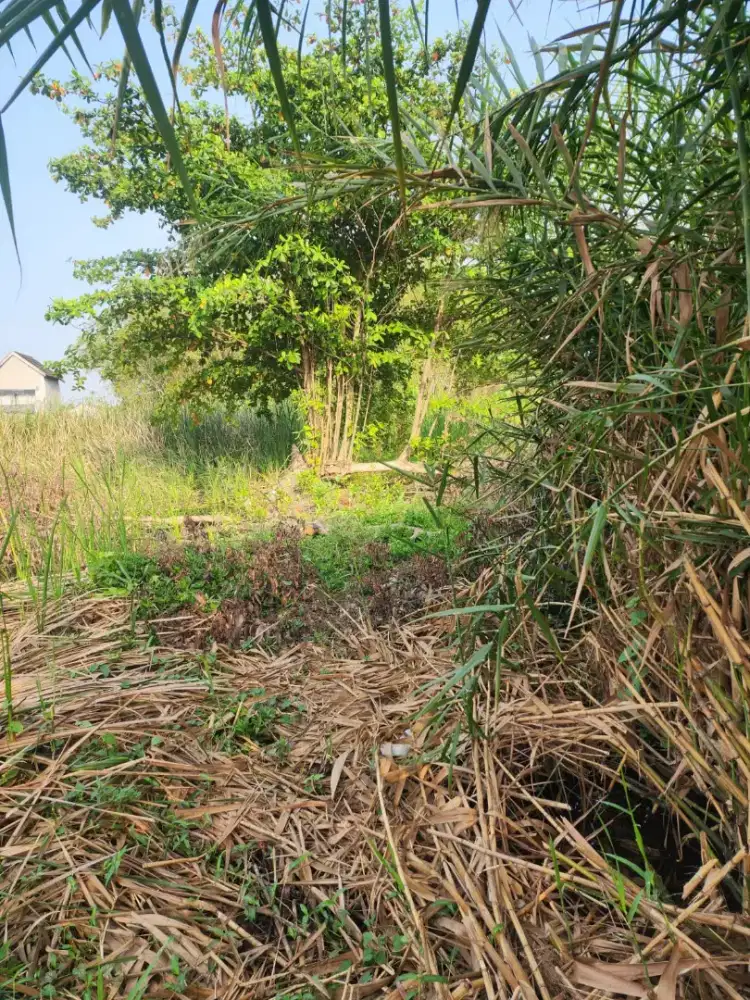 Di Jual Tanah Kavling Masangan Wetan