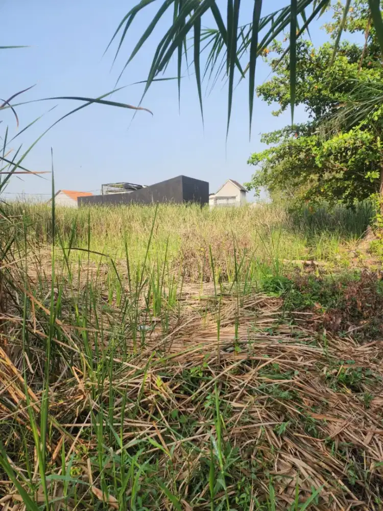 Di Jual Tanah Kavling Masangan Wetan