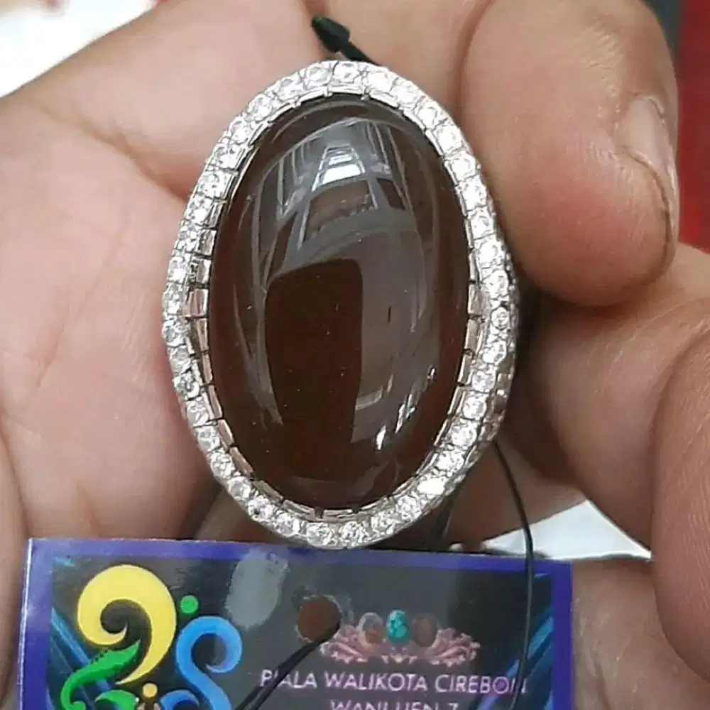 Top Quality Kapilayu Cirebon Legend Juara Kontes