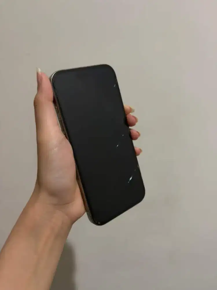 Iphone 15 Pro 128GB
