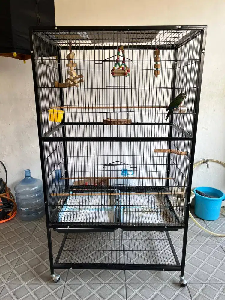 Kandang Burung Jumbo