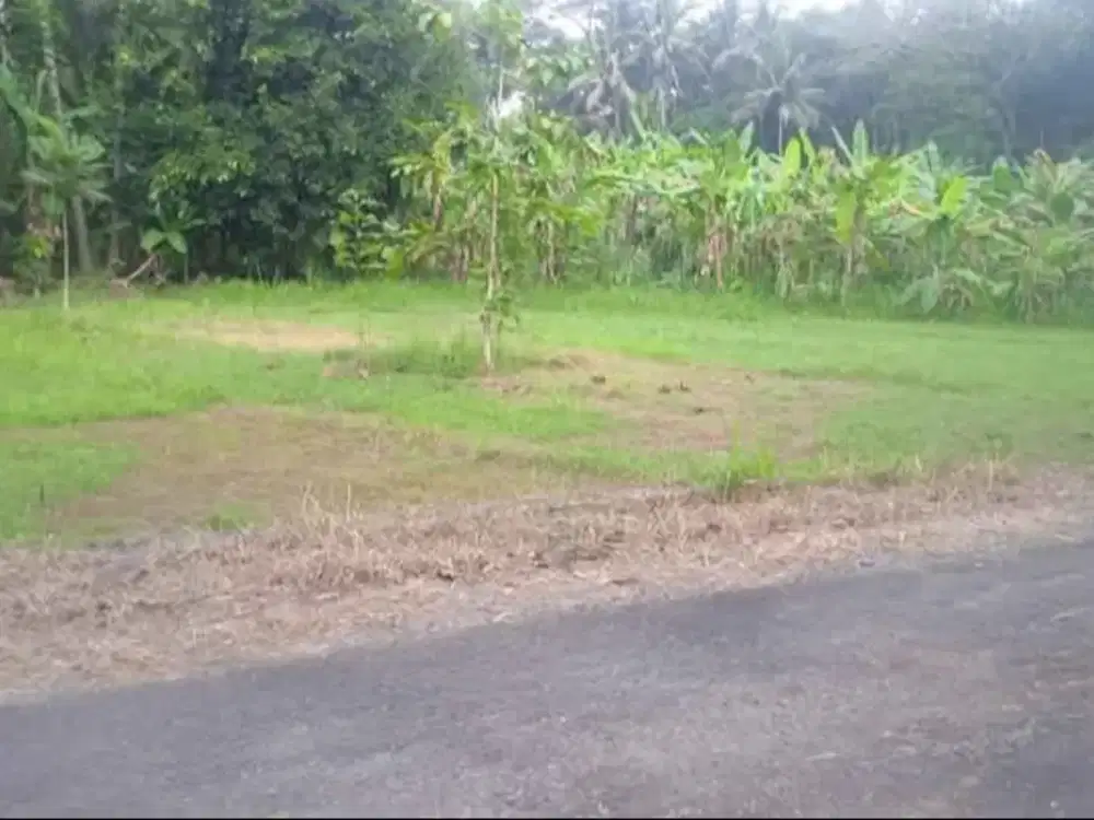 Dijual tanah luas murah Sedayu Bantul dekat pasar sungapan