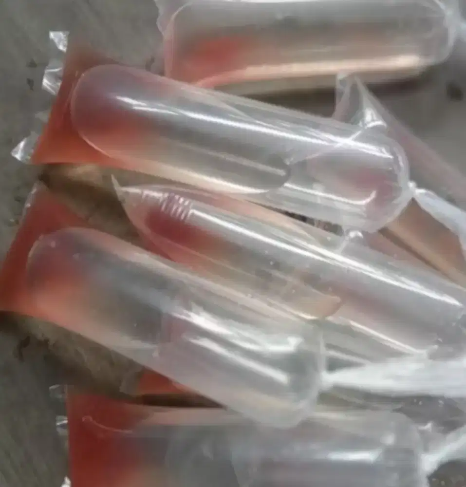Kutu air pakan ikan