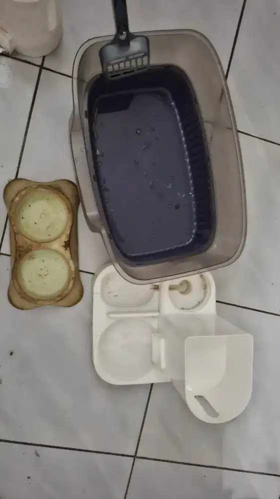 Litterbox dan tempat makan Kucing