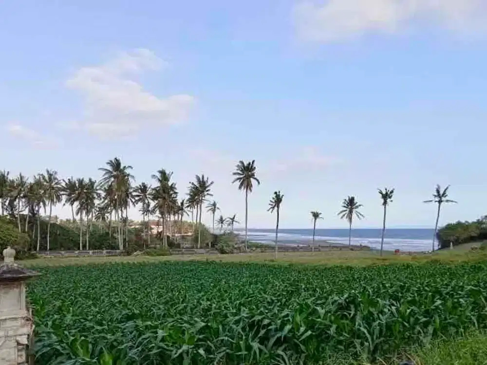 Beachfront Land For Sale in Tabanan Bali – 1.03 Ha