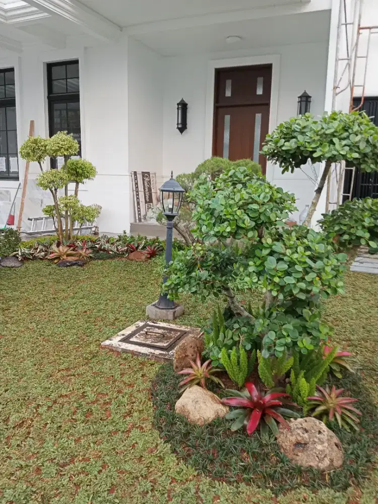 Jual rumput dan tanaman _ terdekat dan murah di Tangerang