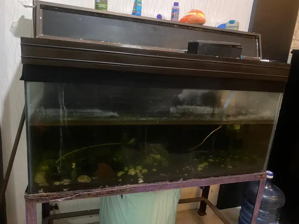 Aquarium bekas komplite tutup dan ikan nya