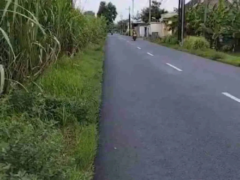 jual murah tanah dekat pabrik playwod ,bagus untuk gudang ,rumah hunian di diek Jombang