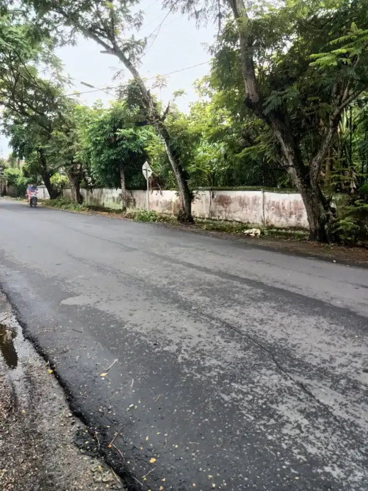 TANAH 33 ARE PINGGIR JALAN CAKRA UTARA