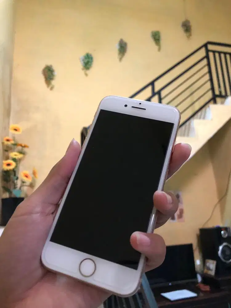 iphone 8 (256GB)