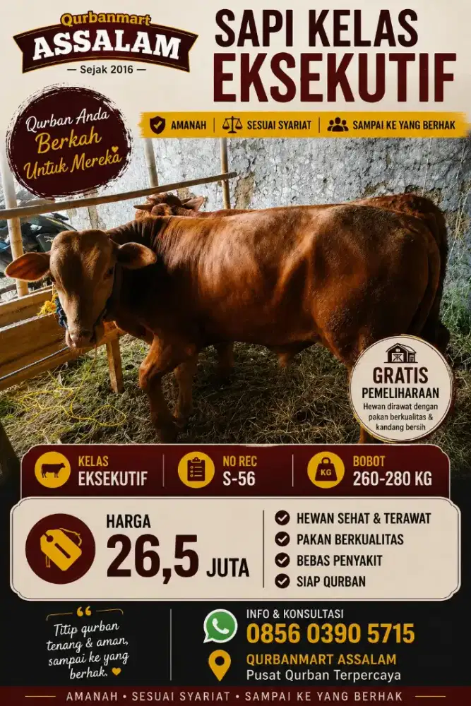 Qurban sehat sesuai syariat
