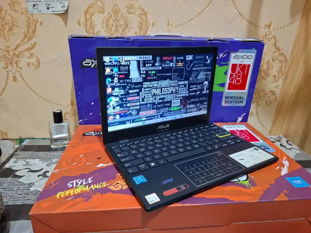 Laptop Asus Vivobook E210MA