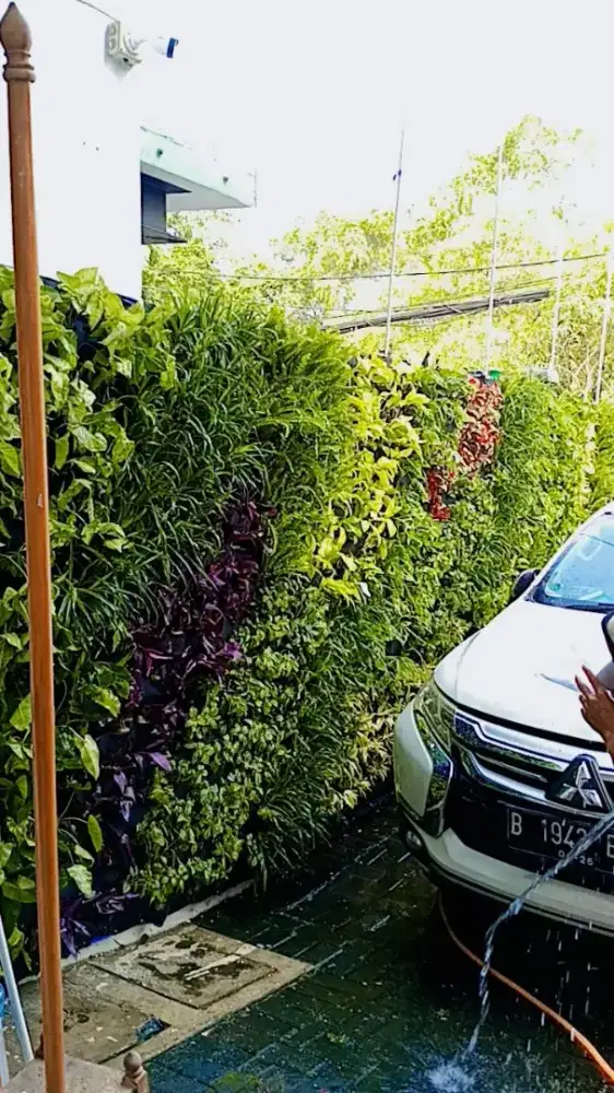 Tukang taman vertikal garden Tangerang _ tukang taman terdekat,murah