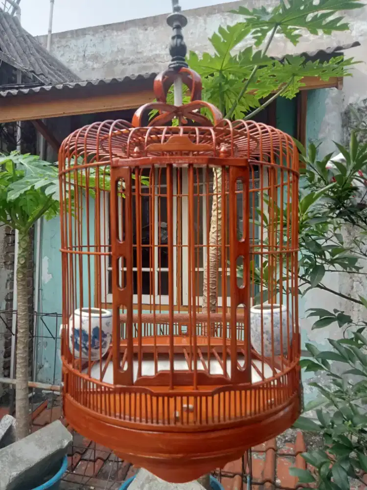 Sangkar burung cunkok