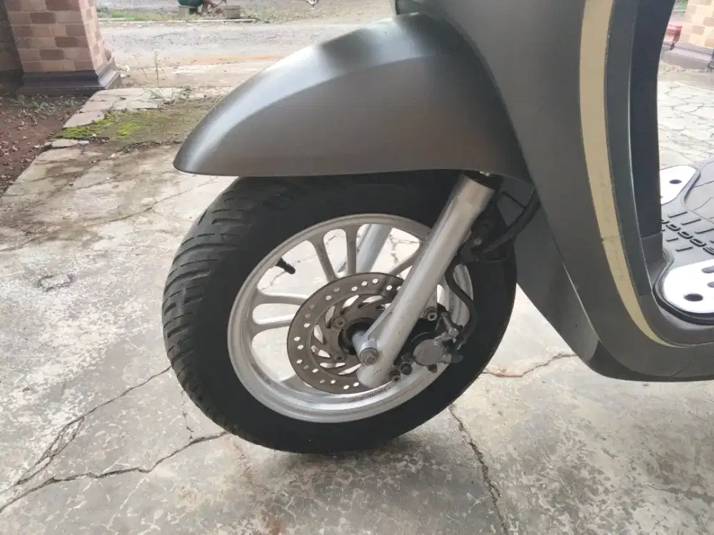 Scoopy stylis 2021
