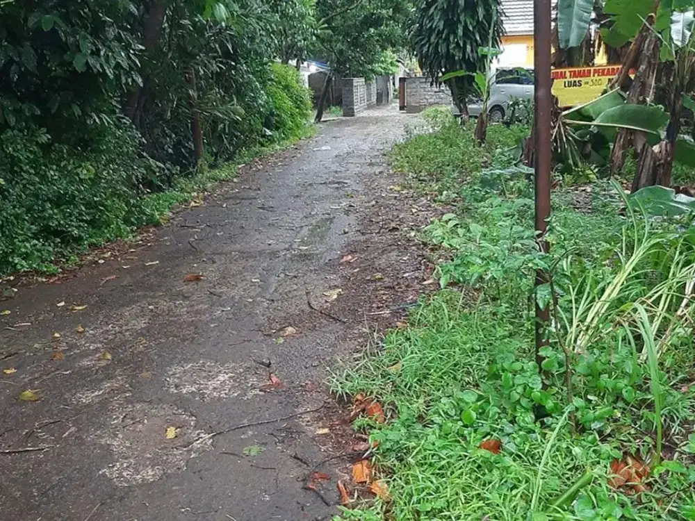 Tanah Murah Siap Bangun 294 m² di Parung Bogor, Legalitas Aman & Jelas