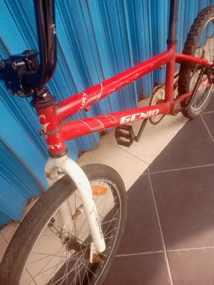 BMX Genio Fury 20in