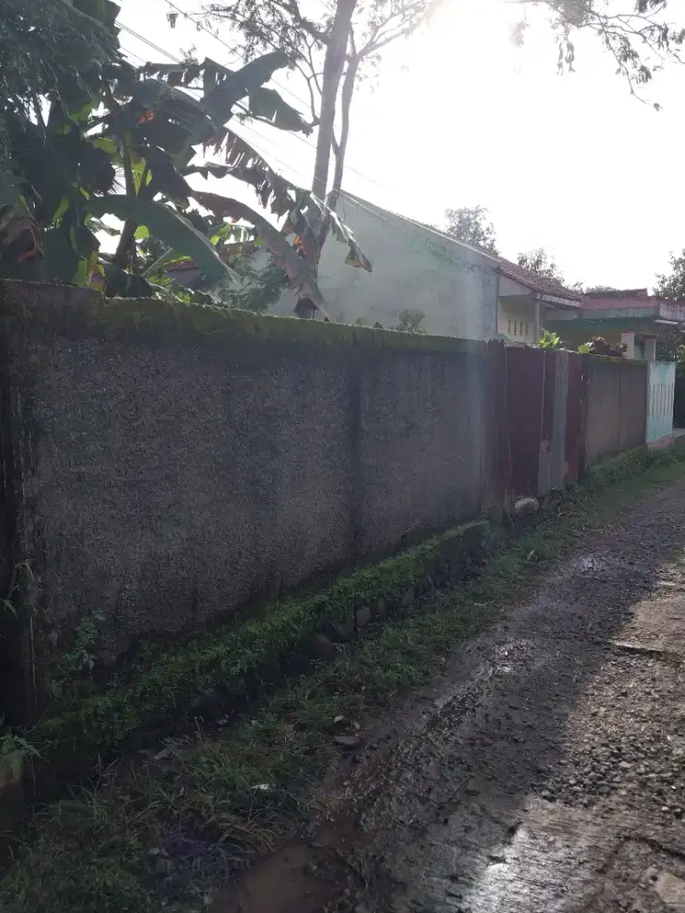 JUAL TANAH PEKARANGAN,