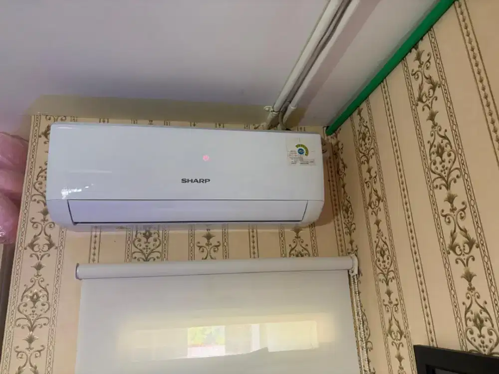 Ac sharp 1/2 pk