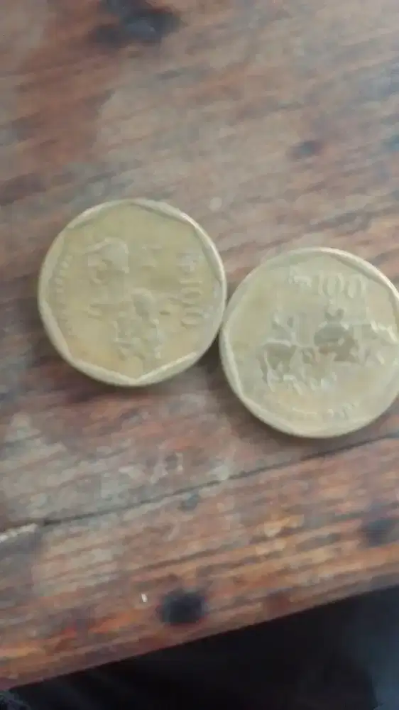 Uang koin 100 karapan sapi &uang koin 50p