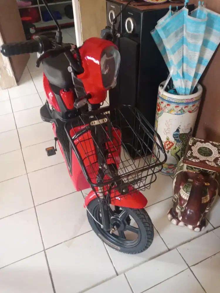 Selis mulus no minus