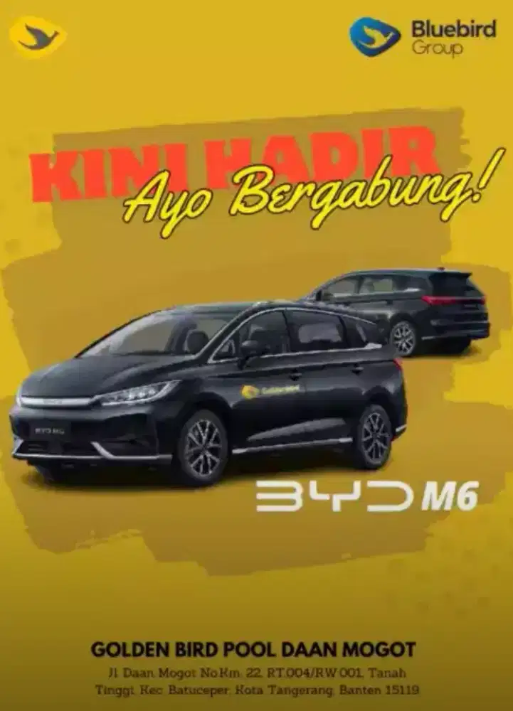 Pengemudi profesional
