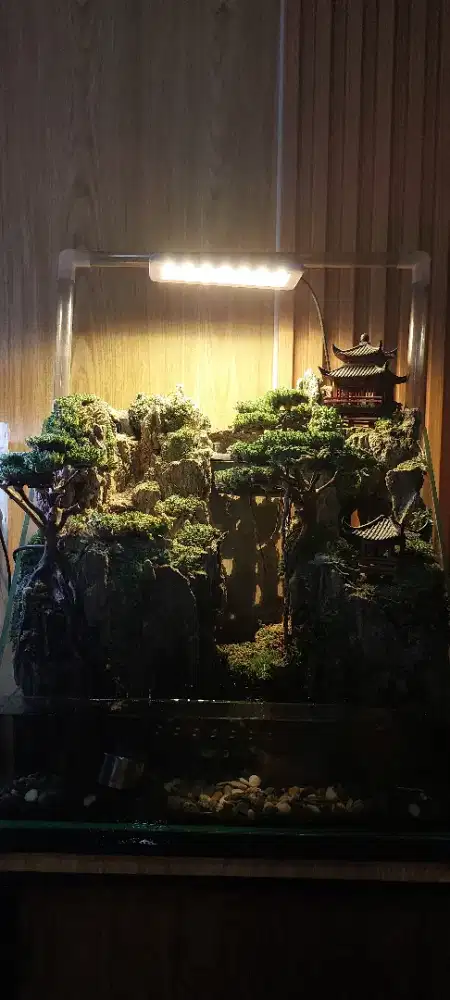 Paludarium mini