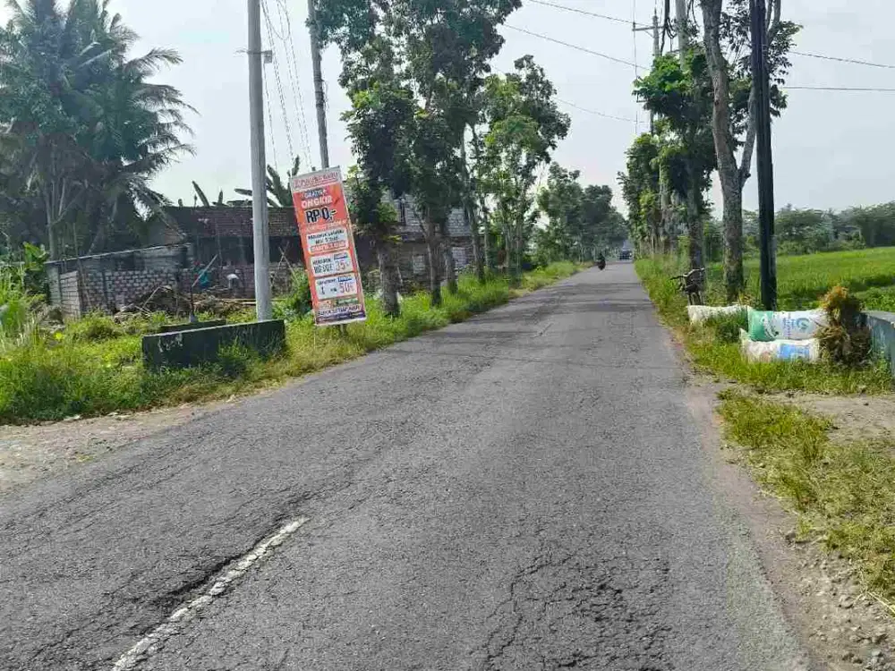 sawah margokaton Seyegan slmn