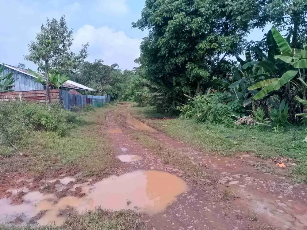 di jual lahan kebun bisa untuk peternakan