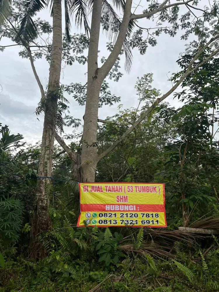 Dijual Tanah 53 Tumbuk, Kebun Kolim, Desa Tangkit Baru