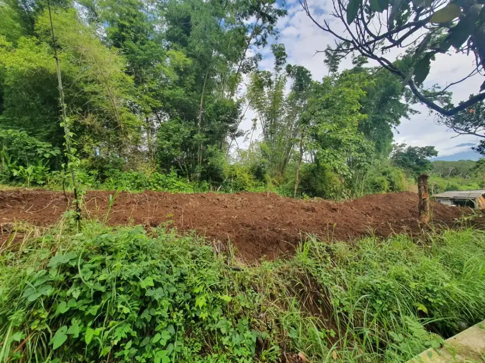 Tanah Poros Jalan Ramai, Dekat Sekolah Internasional & Fasilitas Umum