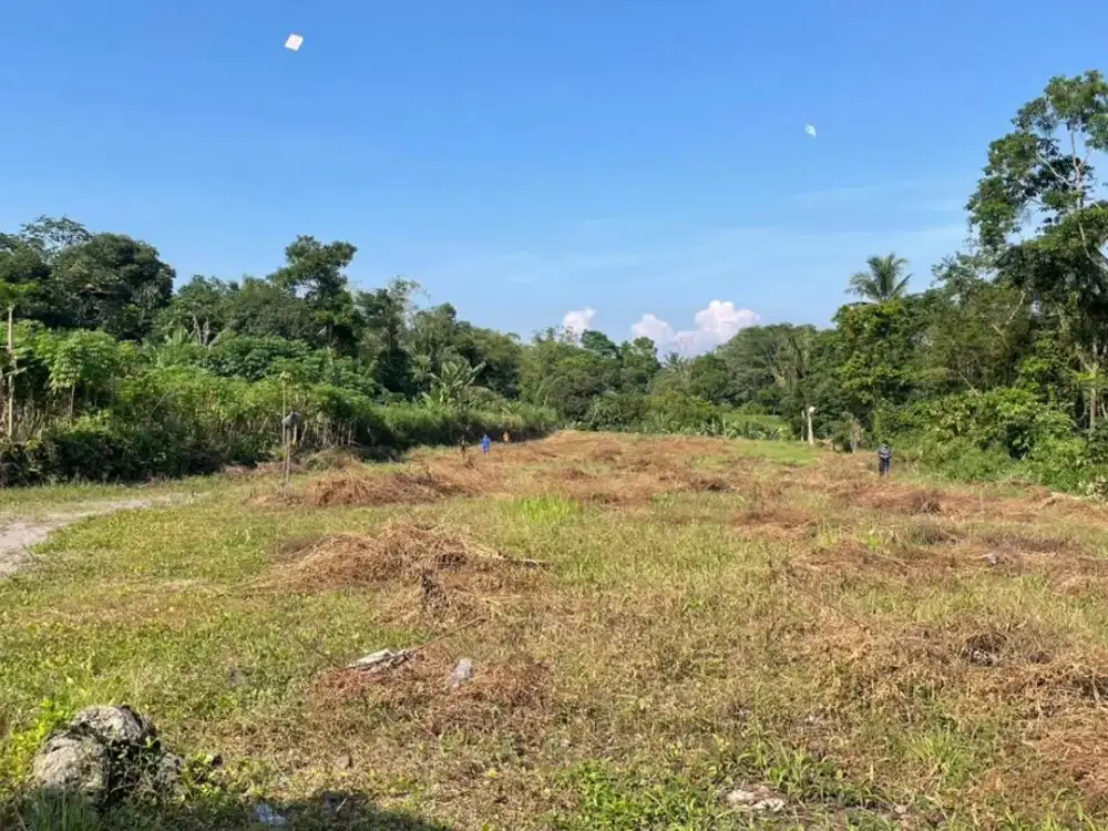 Tanah SHM View Merapi, Cocok Untuk Investasi Villa