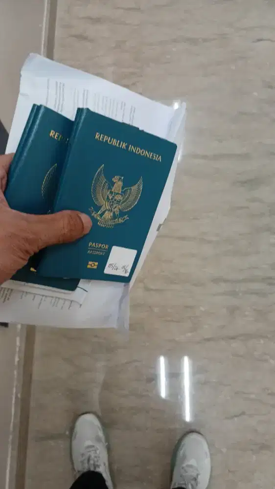 Pengurusan visa