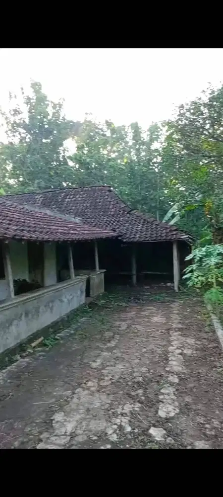 DIJUAL SEGERA TANAH KOSONG