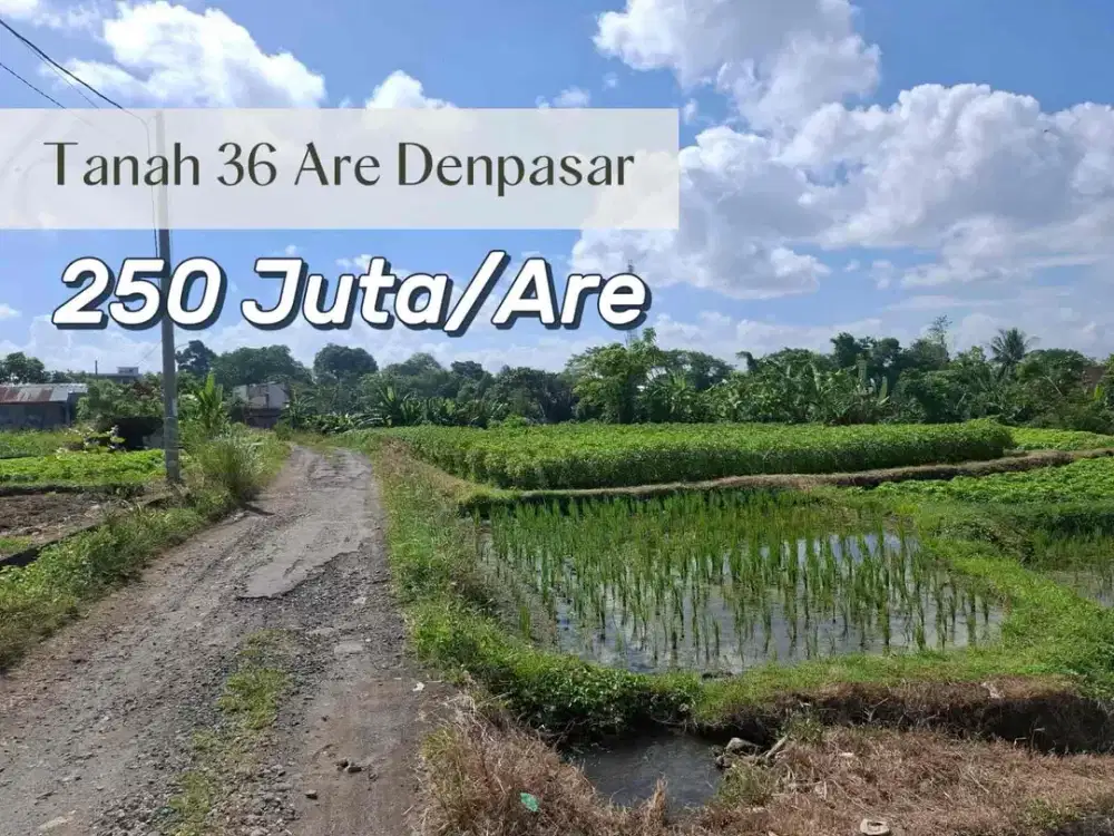 SALE Sawah 36 Are Dekat Kota Denpasar